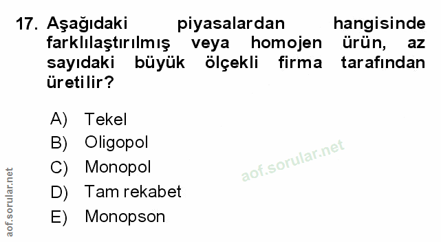 Soru 17