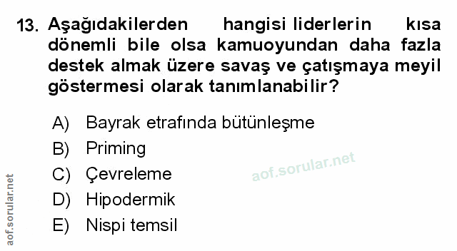 Soru 13
