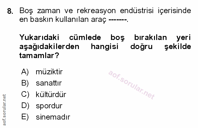Soru 8