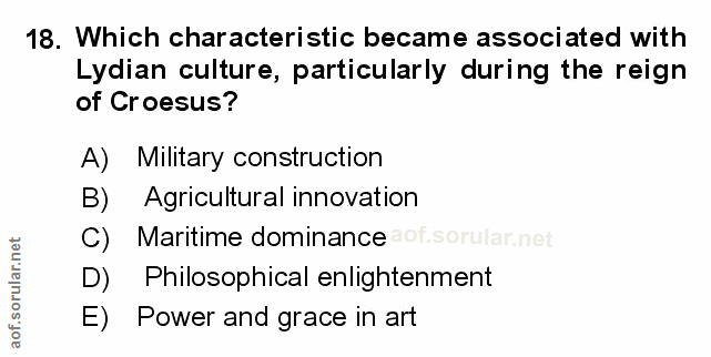 Soru 18