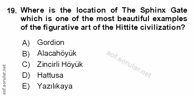 Soru 19