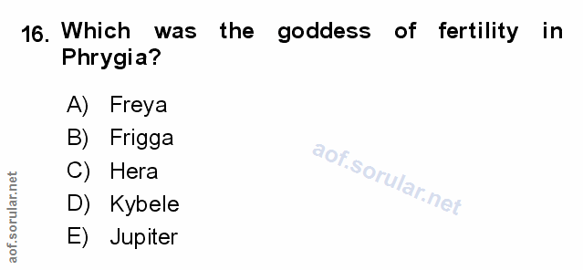 Soru 16