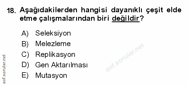Soru 18