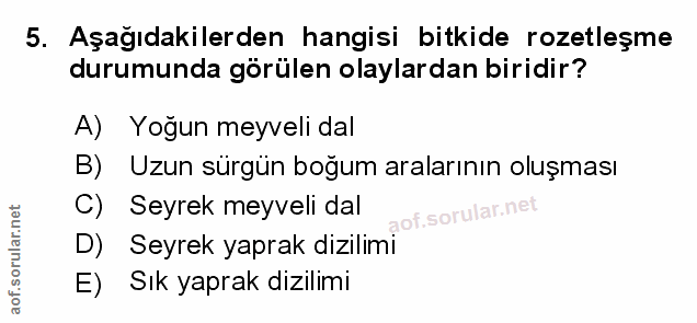 Soru 5