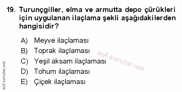 Soru 19