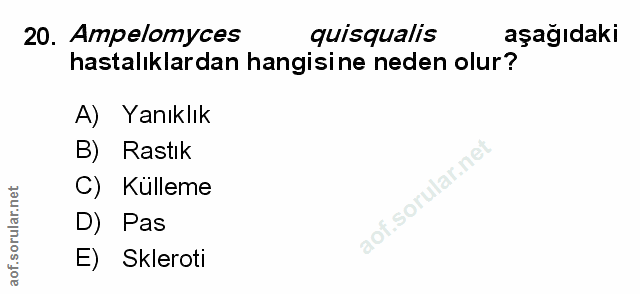 Soru 20