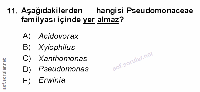 Soru 11