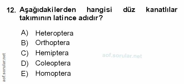Soru 12