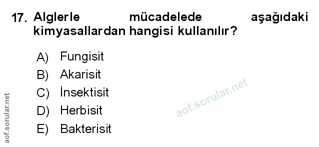 Soru 17