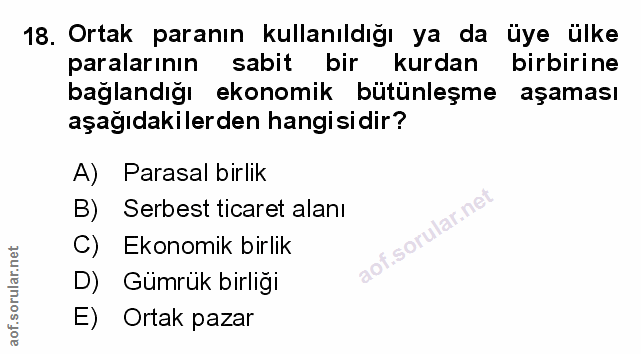 Soru 18