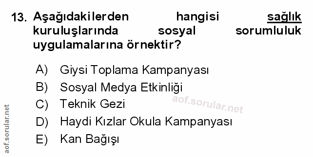 Soru 13