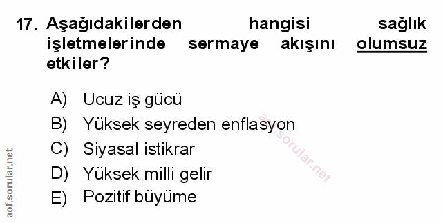Soru 17