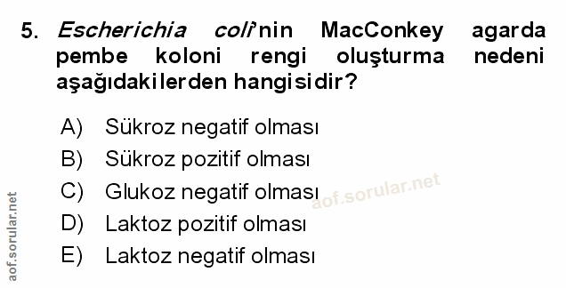 Soru 5