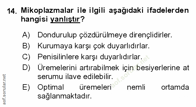Soru 14