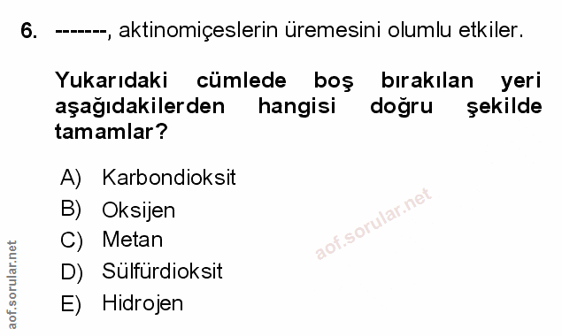 Soru 6