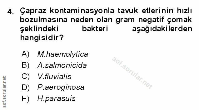Soru 4