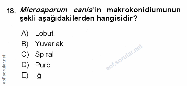 Soru 18