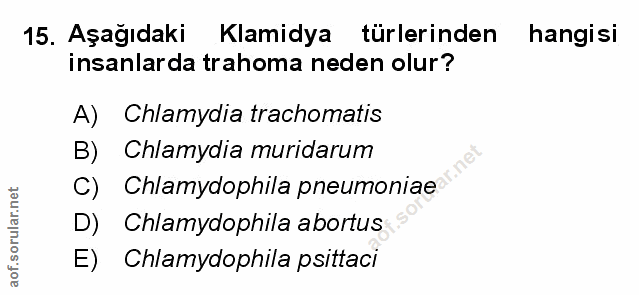 Soru 15
