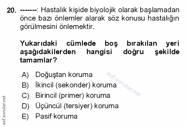 Soru 20