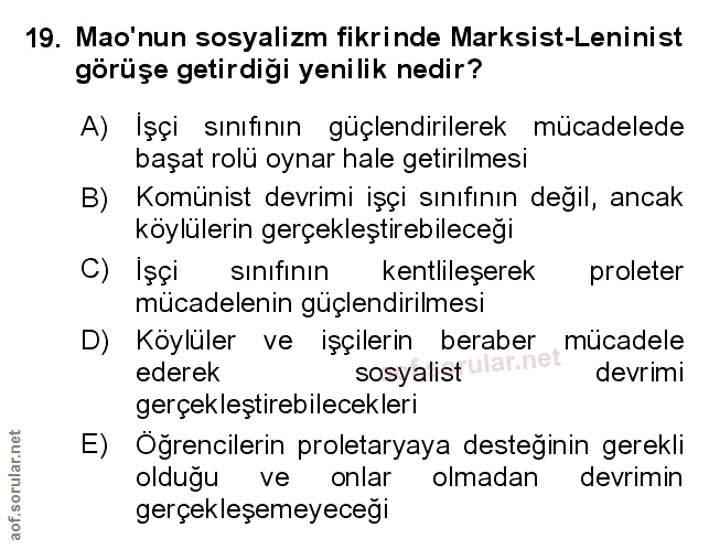 Soru 19