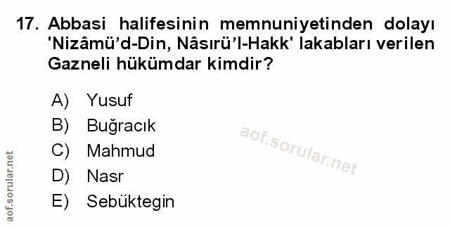 Soru 17