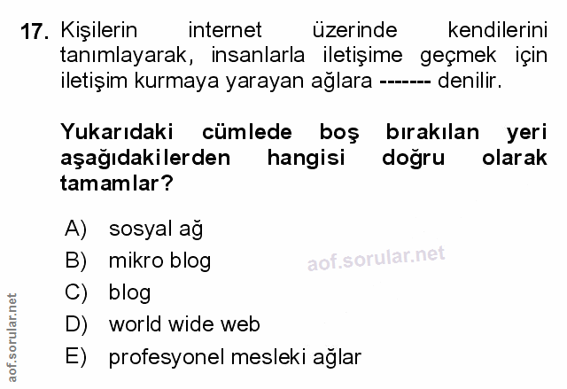 Soru 17