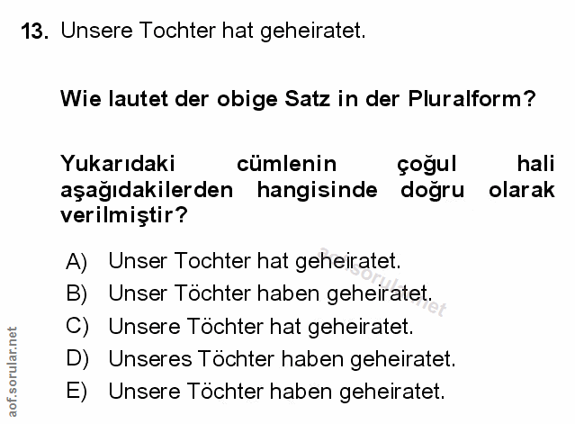Soru 13