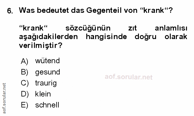 Soru 6