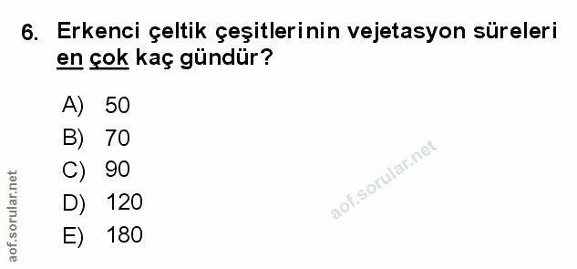 Soru 6