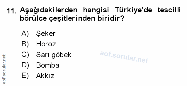 Soru 11