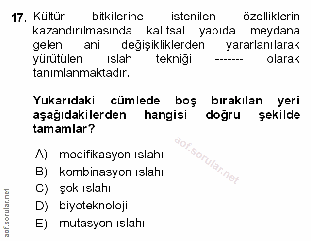 Soru 17