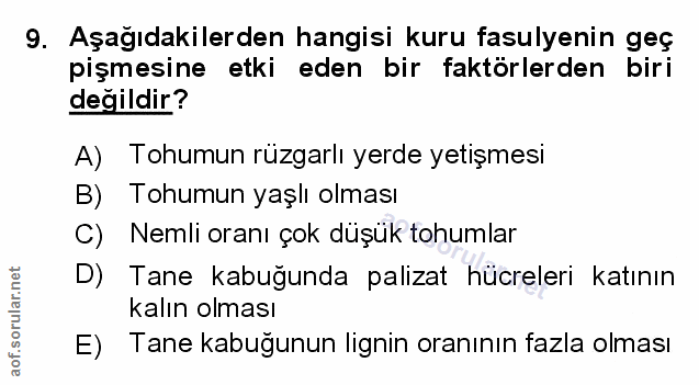 Soru 9