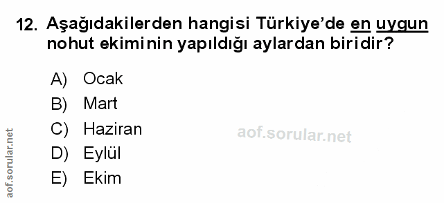 Soru 12