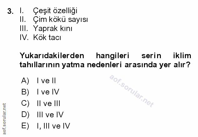 Soru 3