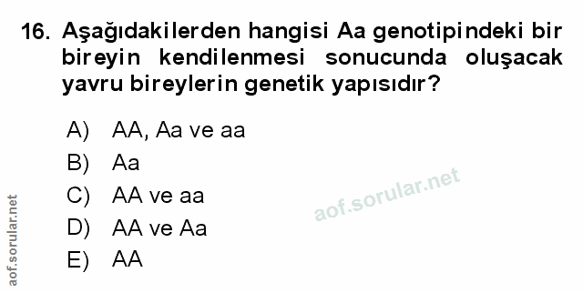 Soru 16