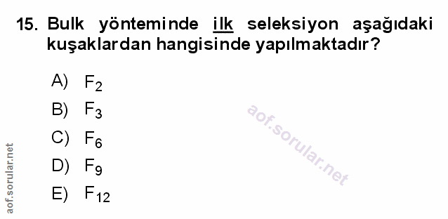Soru 15