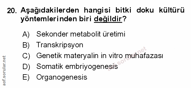 Soru 20