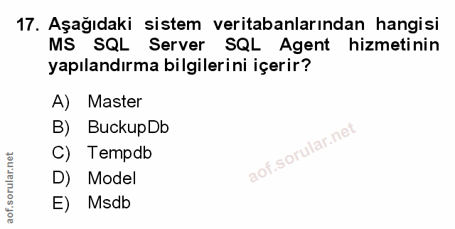 Soru 17