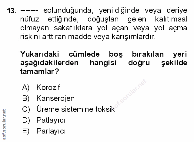 Soru 13