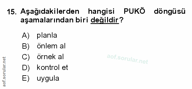 Soru 15