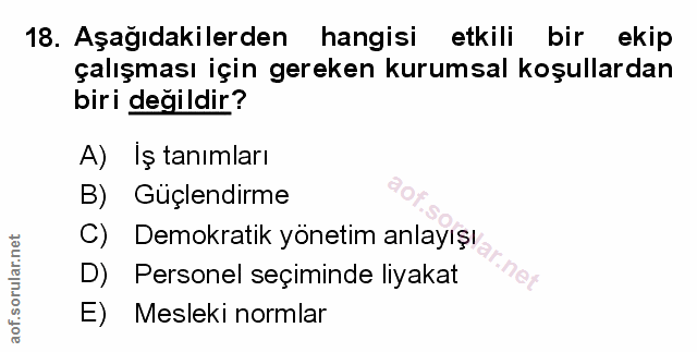 Soru 18