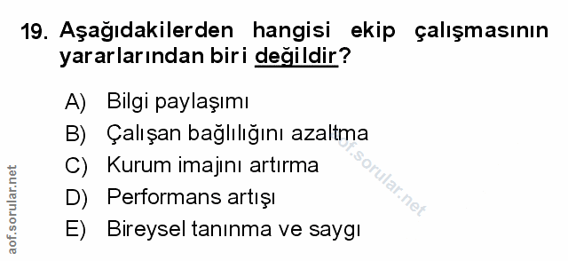 Soru 19