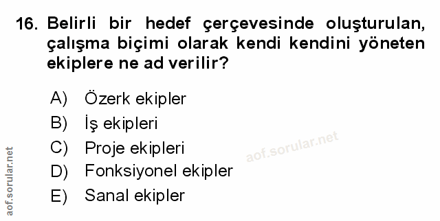 Soru 16