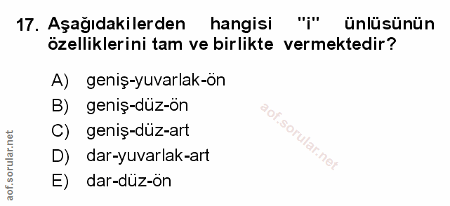 Soru 17