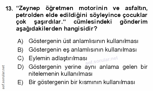 Soru 13