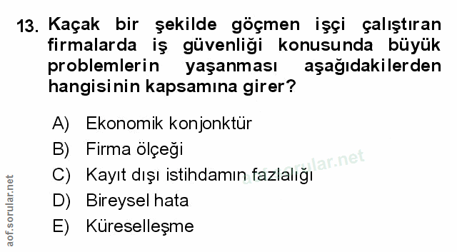 Soru 13