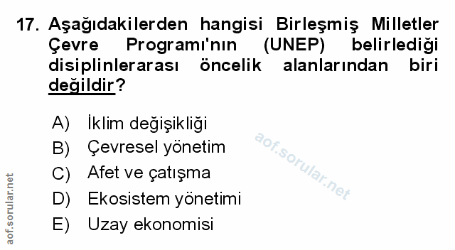 Soru 17