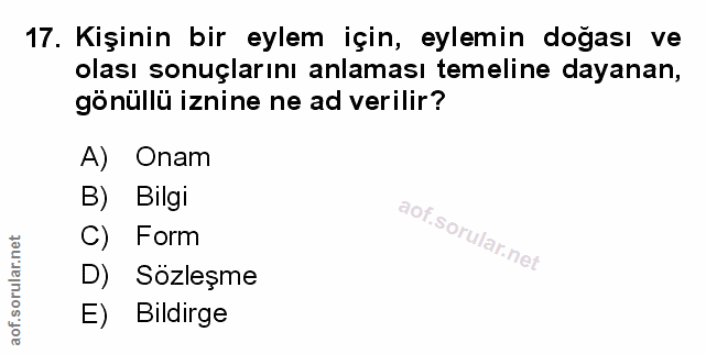 Soru 17
