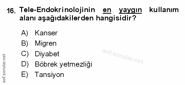 Soru 16