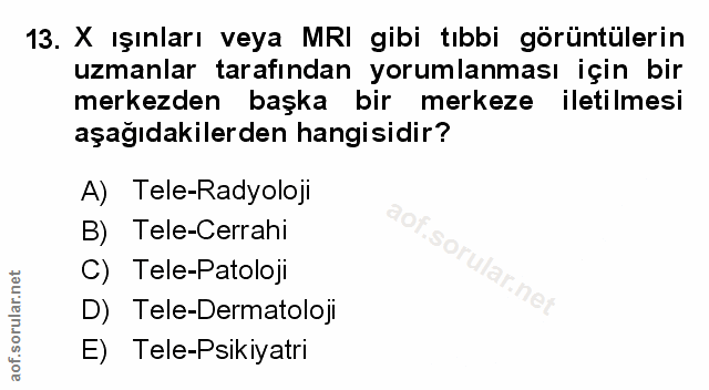 Soru 13
